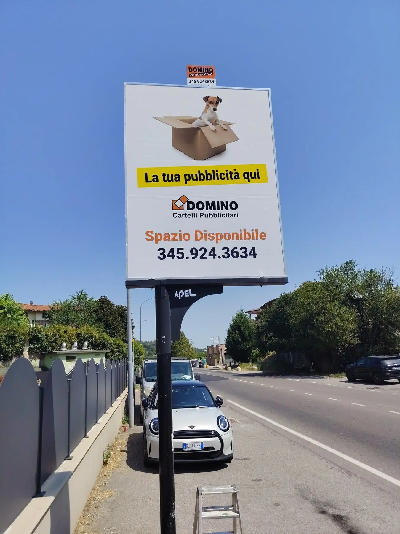 Cartello Domino con un cane in una scatola: la tua pubblicità qui